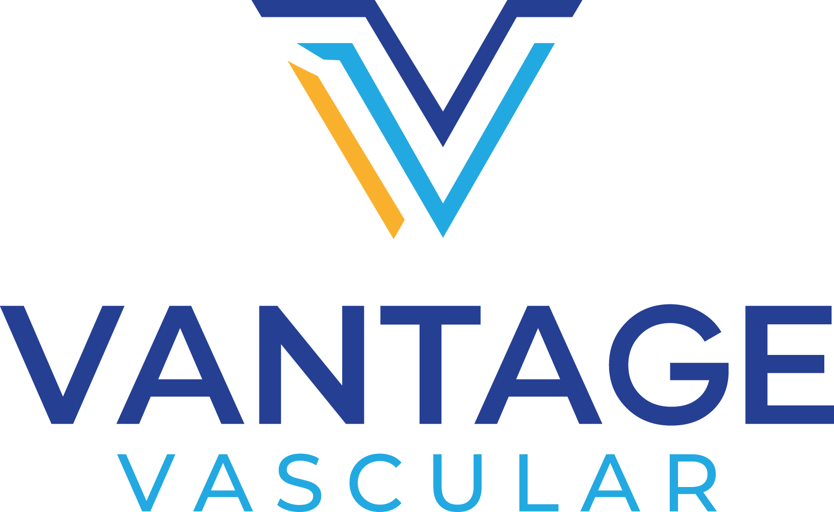 Vantage Vascular